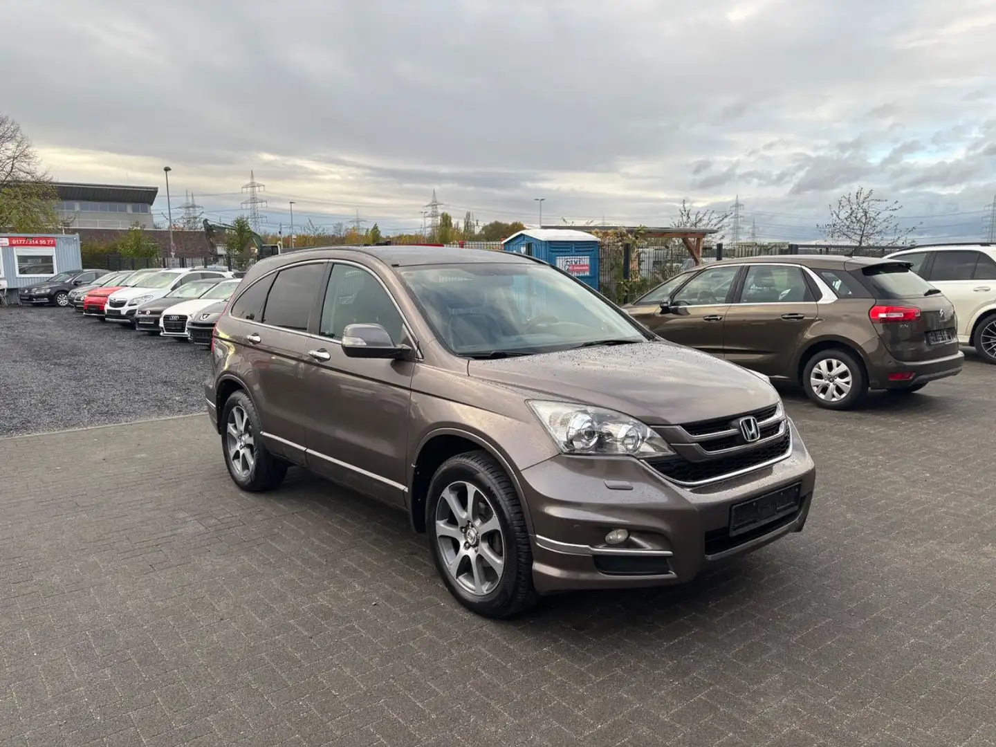 Honda CR-V Executive*LEDER*8XALUS*NAVI* Brun - 1