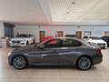 Alfa Romeo Giulia 2.2 Turbo 190cv AT8 Navi Xeno Keyless Cerchi 18” Gris - thumbnail 45