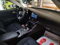 Alfa Romeo Giulia 2.2 Turbo 190cv AT8 Navi Xeno Keyless Cerchi 18” Gris - thumbnail 43