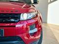 Land Rover Range Rover Evoque 2.2 Sd4 5p. Dynamic *TETTO PANO*MERIDIAN* Rot - thumbnail 7
