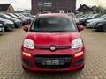 Fiat Panda Servo, Klima, SEHR GEPFLEGT Rot - thumbnail 8