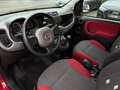 Fiat Panda Servo, Klima, SEHR GEPFLEGT Rot - thumbnail 19