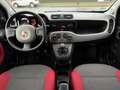 Fiat Panda Servo, Klima, SEHR GEPFLEGT Rot - thumbnail 21