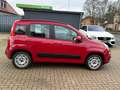 Fiat Panda Servo, Klima, SEHR GEPFLEGT Rot - thumbnail 6