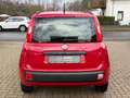 Fiat Panda Servo, Klima, SEHR GEPFLEGT Rot - thumbnail 4