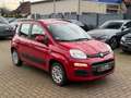 Fiat Panda Servo, Klima, SEHR GEPFLEGT Rot - thumbnail 7