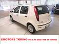 Fiat Punto Classic 1.2 5 porte Active Bianco - thumbnail 5