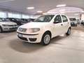 Fiat Punto Classic 1.2 5 porte Active Bianco - thumbnail 2