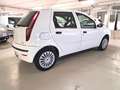 Fiat Punto Classic 1.2 5 porte Active Bianco - thumbnail 4