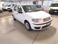 Fiat Punto Classic 1.2 5 porte Active Bianco - thumbnail 6