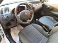 Fiat Punto Classic 1.2 5 porte Active Bianco - thumbnail 7