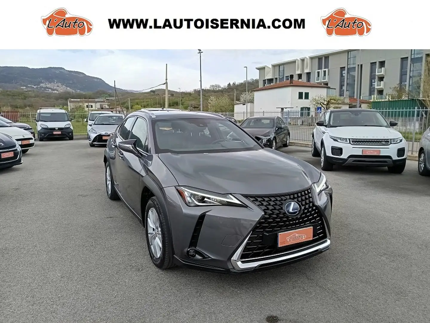 Lexus UX 250h 2.0 BUSINESS 2WD CVT MY20 Сірий - 1