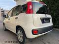 Fiat Panda 1.2,GPL,NEOPATENTATI,QUASI 1.000 KM DI AUTONOMIA. Bianco - thumbnail 3