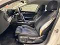 Volkswagen Passat Variant Business Weiß - thumbnail 31