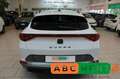 CUPRA Formentor Formentor 1.5 TSI DSG Bianco - thumbnail 6