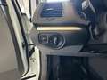 SEAT Alhambra CR Business DSG 7 Sitze Ledersportmultifunktion... Weiß - thumbnail 20