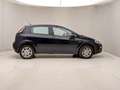 Fiat Punto 1.4 8V 5 porte Easypower Young Blau - thumbnail 3