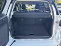 Ford EcoSport ST-LINE 1.0EcoBoost 125PS M6 Weiß - thumbnail 10