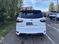 Ford EcoSport ST-LINE 1.0EcoBoost 125PS M6 Weiß - thumbnail 5