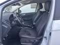 Ford EcoSport ST-LINE 1.0EcoBoost 125PS M6 Weiß - thumbnail 9