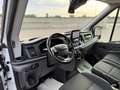 Ford Transit L2 H2 2.0 TDCI 130 C.V. 6 MARCE EURO 6 TEMP Bianco - thumbnail 9