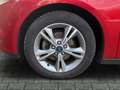 Ford Focus Turnier Sync Edition Zahnriemen neu Rojo - thumbnail 9