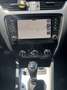 Skoda Octavia Wagon 1.5 g-tec Executive 130cv dsg Silver - thumbnail 7