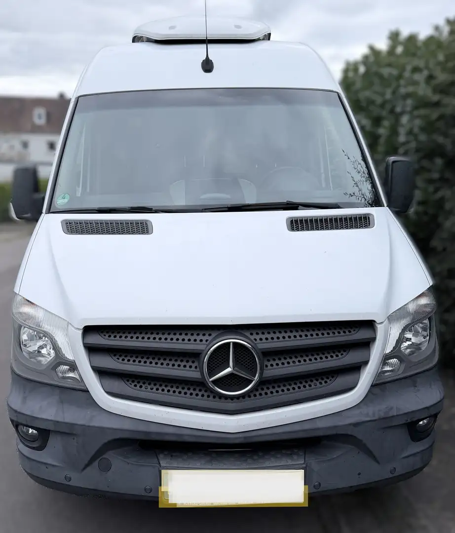 Mercedes-Benz Sprinter Kasten 316 CDI - Kerstner Kühlung - Automatik Weiß - 1