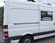 Mercedes-Benz Sprinter Kasten 316 CDI - Kerstner Kühlung - Automatik Weiß - thumbnail 3
