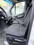 Mercedes-Benz Sprinter Kasten 316 CDI - Kerstner Kühlung - Automatik Weiß - thumbnail 6