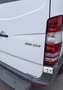 Mercedes-Benz Sprinter Kasten 316 CDI - Kerstner Kühlung - Automatik Weiß - thumbnail 4