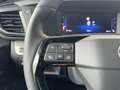 Opel Zafira Life 2.0 D L (L3) Klima Kamera navi Grau - thumbnail 15