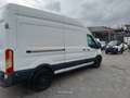 Ford Transit FT 350 L2 Van Trend 125 Blanco - thumbnail 6