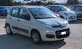 Fiat Panda GPL 1.2cc 69cv Beige - thumbnail 2