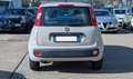 Fiat Panda GPL 1.2cc 69cv Beige - thumbnail 13