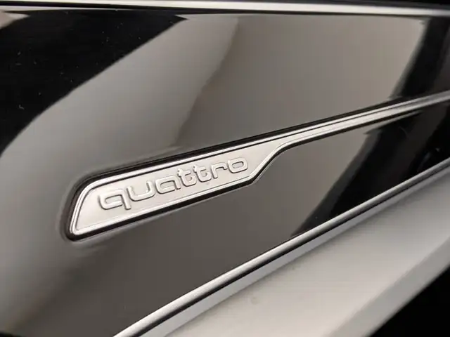 Audi Q8 view 13