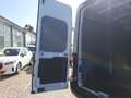 Ford Transit Kasten 2.0 TDCi 350 L3 Trend DAB Kamera PDC Weiß - thumbnail 13