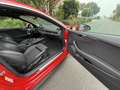 Audi A5 Coupé 40TFSI S-Line 190PK Automaat•Pano•Leder - thumbnail 21