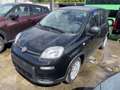 Fiat Panda 1.0 Hybrid 70PS Pandina Noir - thumbnail 18