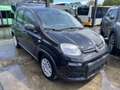 Fiat Panda 1.0 Hybrid 70PS Pandina Noir - thumbnail 21