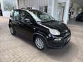 Fiat Panda 1.0 Hybrid 70PS Pandina Noir - thumbnail 4