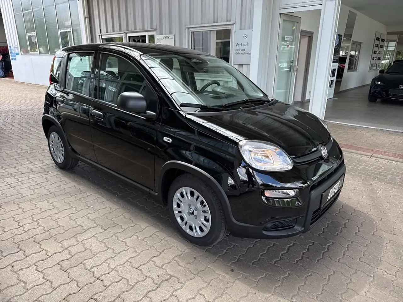 Fiat Panda 1.0 Hybrid 70PS Pandina 4