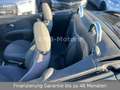 Nissan Micra C+C Basis Cabrio Hardtop Schwarz - thumbnail 6