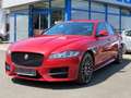 Jaguar XF R-Sport Leder Xenon Kamera 20-Zoll-LMF Rot - thumbnail 18