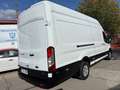 Ford Transit 350 125kW L4H3 Van Trend RWD Blanco - thumbnail 20