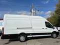 Ford Transit 350 125kW L4H3 Van Trend RWD Blanco - thumbnail 21