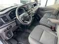 Ford Transit 350 125kW L4H3 Van Trend RWD Blanco - thumbnail 31