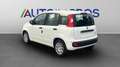 Fiat Panda 1.0 FireFly Hybrid Icon Bianco - thumbnail 3