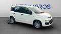 Fiat Panda 1.0 FireFly Hybrid Icon Bianco - thumbnail 7