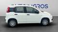 Fiat Panda 1.0 FireFly Hybrid Icon Bianco - thumbnail 6
